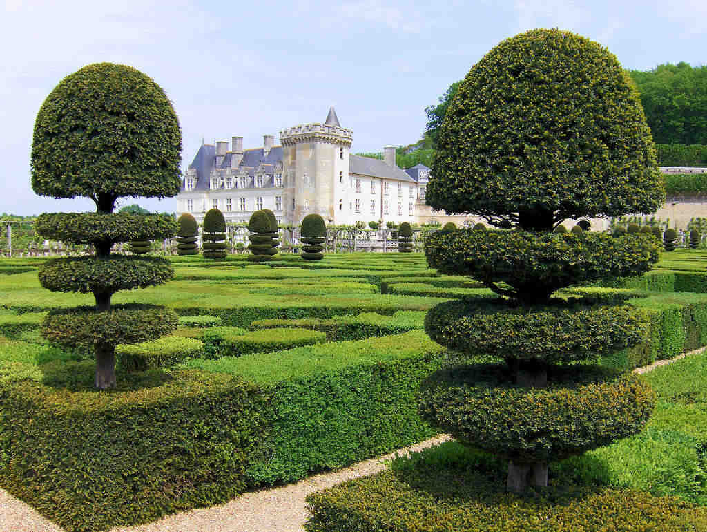 jardin, francaise